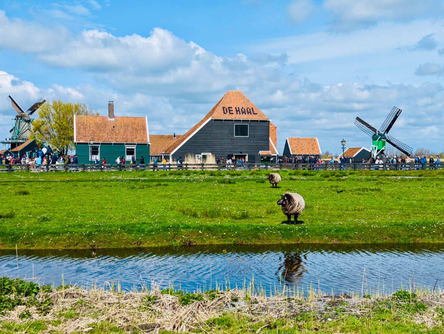 Netherlands travel tips